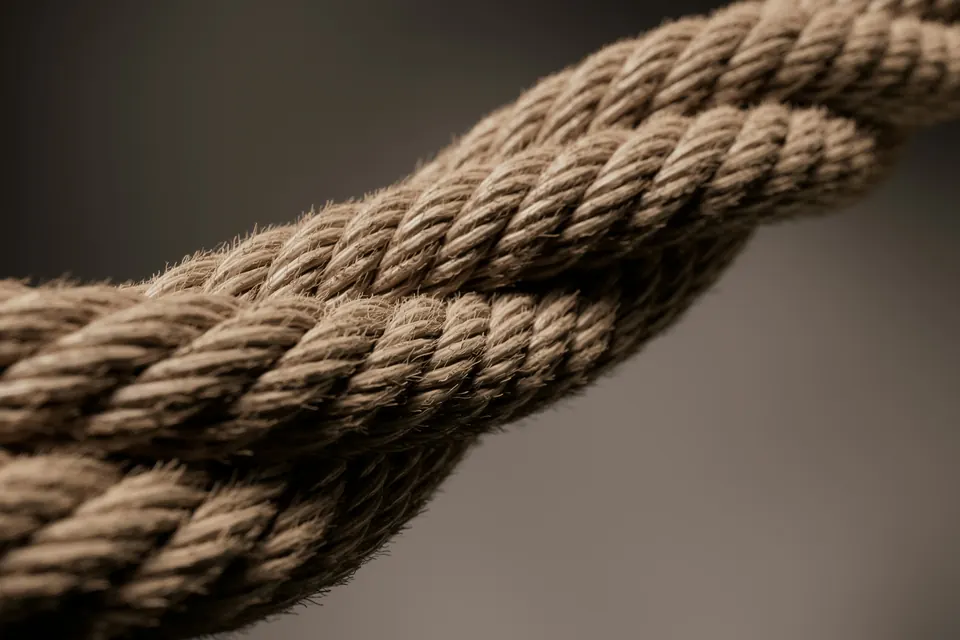 Canvas Connect